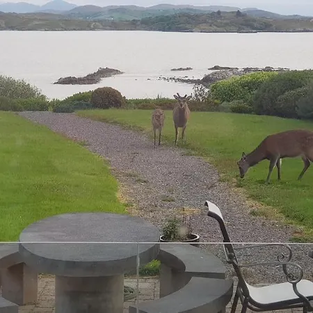 Inbear Sceine Kenmare