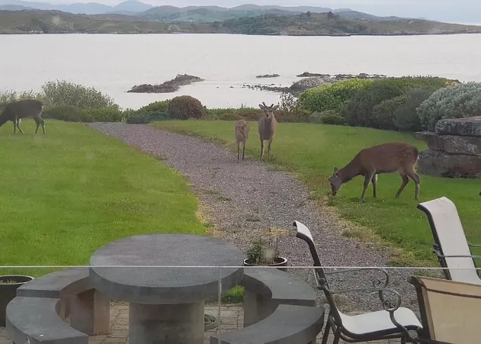 Inbear Sceine Kenmare